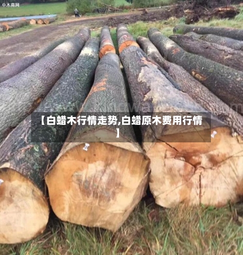 【白蜡木行情走势,白蜡原木费用行情】