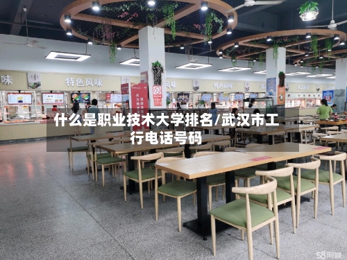 什么是职业技术大学排名/武汉市工行电话号码-第3张图片
