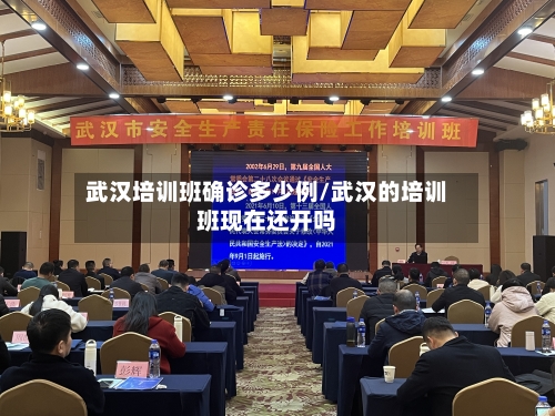 武汉培训班确诊多少例/武汉的培训班现在还开吗