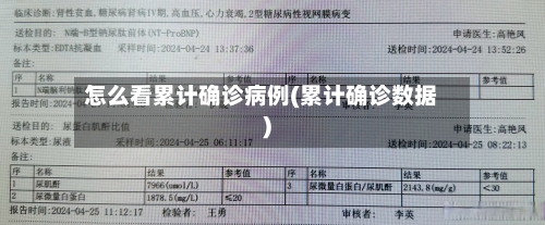 怎么看累计确诊病例(累计确诊数据)